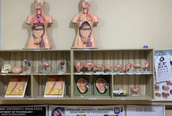 B.Sc. Psychology